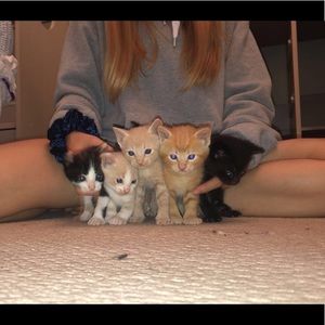 Meet your Posher, Kennedi